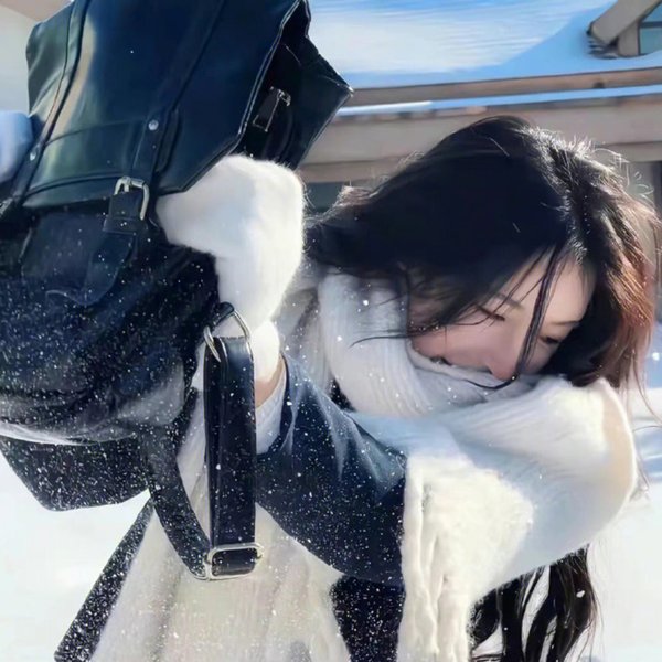 戊子风雪同仁堂 封面